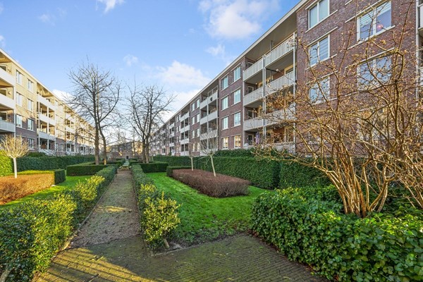 Photo - For rent: Jan van Schaffelaarplantsoen 17B, 1061 DL Amsterdam